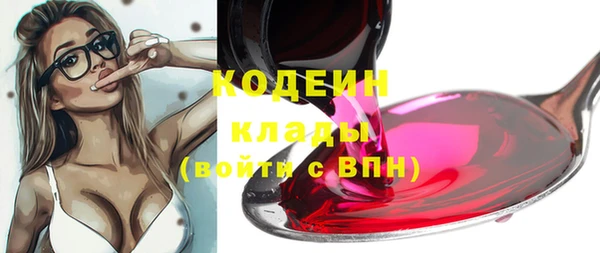 спайс Ладушкин