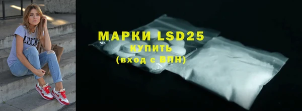 спайс Ладушкин