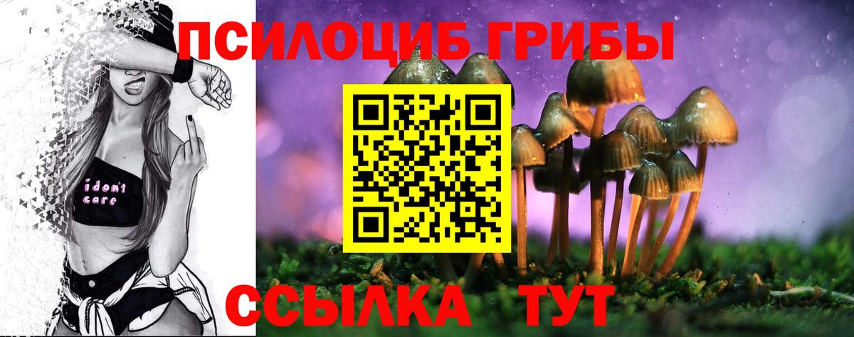 Галлюциногенные грибы прущие грибы  Вход с VPN  Тихвин 